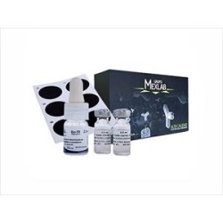 LaMufla - Tienda en Línea